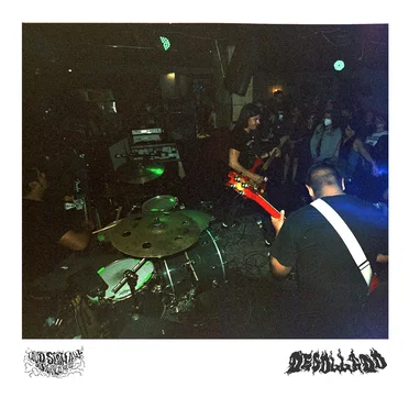 Live Bootleg: Desollado
