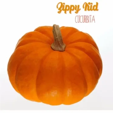 Cucurbita