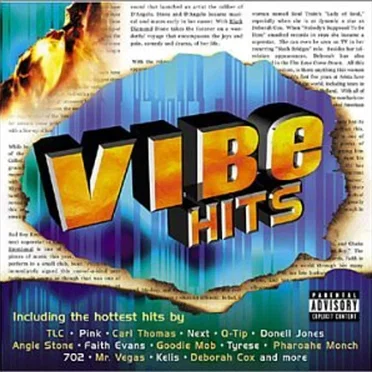 Vibe Hits by Various Artists - album cover