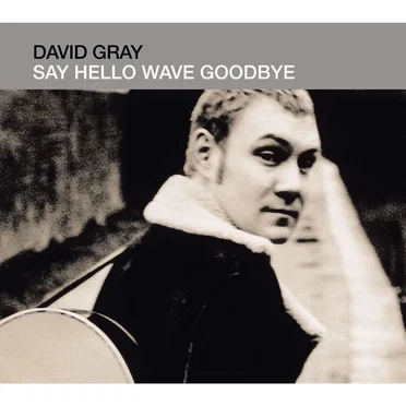 Say Hello Wave Goodbye