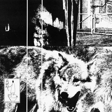 Fertile Deep Wolf