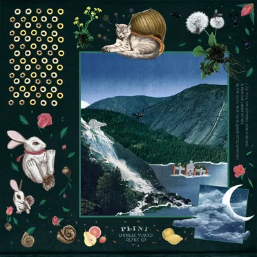 Impulse Voices (Remix EP)