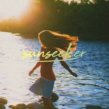 Sunseeker by Rooskin - album cover