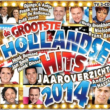 De grootste Hollandse hits jaaroverzicht 2014 by Various Artists - album cover