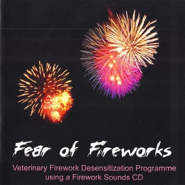 Fear of Fireworks