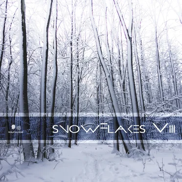 Snowflakes VIII by Various Artists - album cover