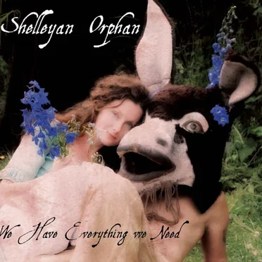 We Have Everything We Need by Shelleyan Orphan - album cover