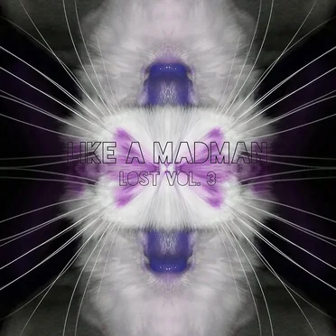 Lost, Vol. 3 by Like A MadMan - album cover