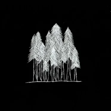 woods by Aftertheparty - album cover
