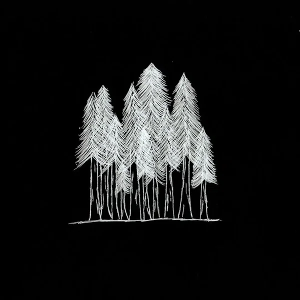 woods