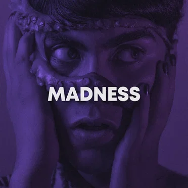 Madness by HMDN - album cover