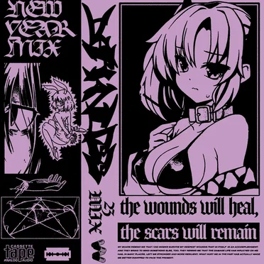 the wounds will heal, the scars will remain by DΛRKNΣSS - album cover