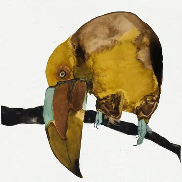 Do by Don’t - album cover