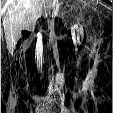 A Body Was All That Was Left