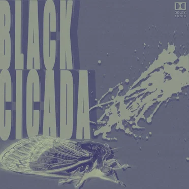 BLACK CICADA