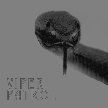 Transcendance by Viper Patrol - album cover