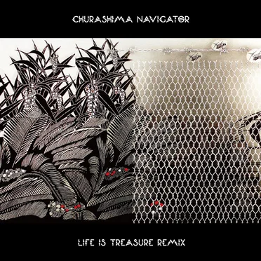 Life Is Treasure Remix