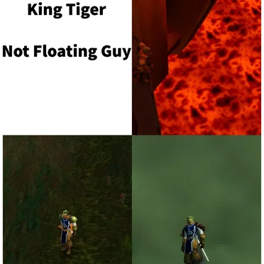 Not Floating Guy by King Tiger - album cover