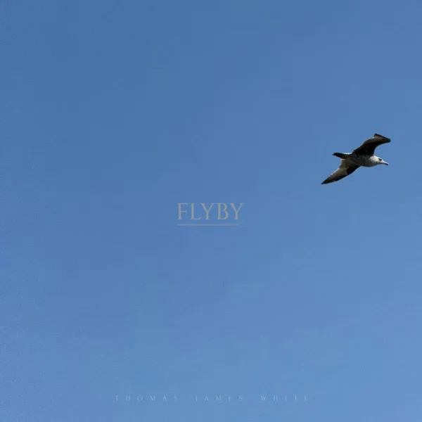 Flyby