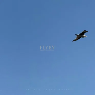 Flyby