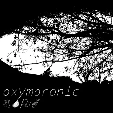 Oxymoronic (Remastered) by Blue Skies Over Alaska - album cover