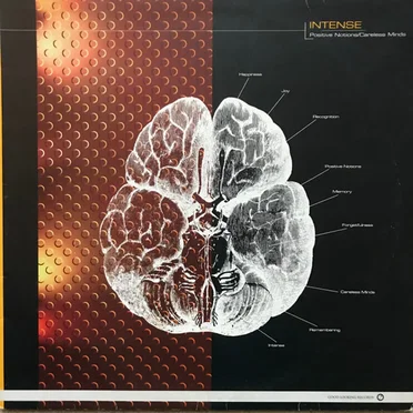 Positive Notions / Careless Minds