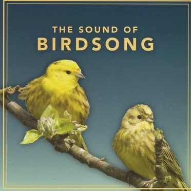 The Sound of Birdsong by [nature sounds] - album cover