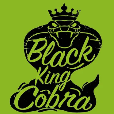 Blood Rush by Black King Cobra - album cover