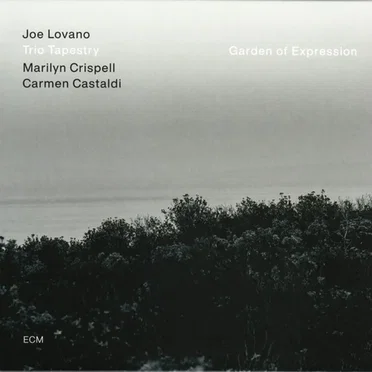 Garden of Expression by Trio Tapestry - album cover