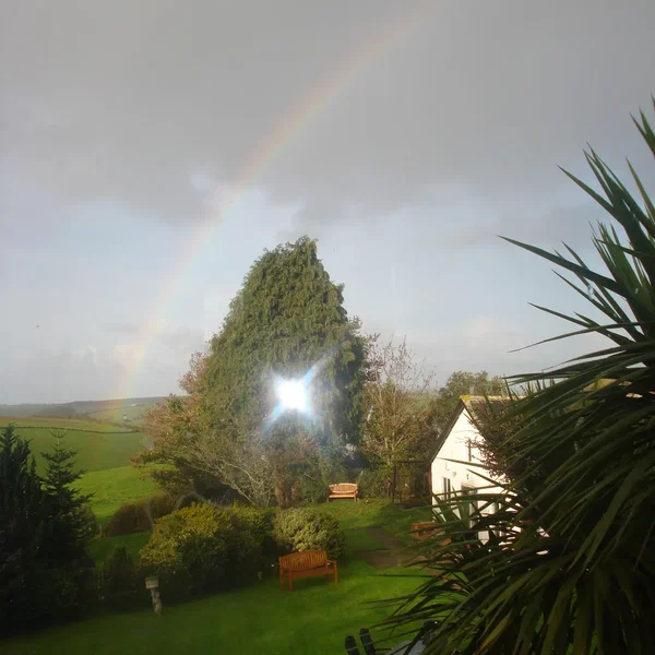 One Square Centimetre of Light