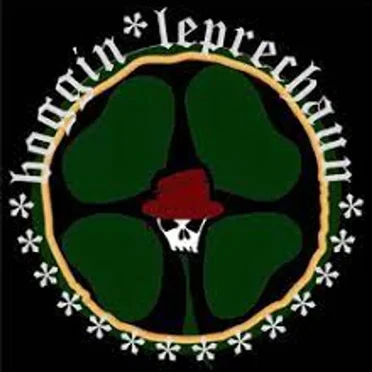 The Boggin by Boggin Leprechaun - album cover