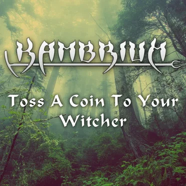 Toss a Coin to Your Witcher