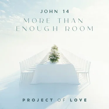 John 14 - More Than Enough Room by Project Of Love - album cover