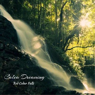 Red Cedar Falls by Calea Dreaming - album cover