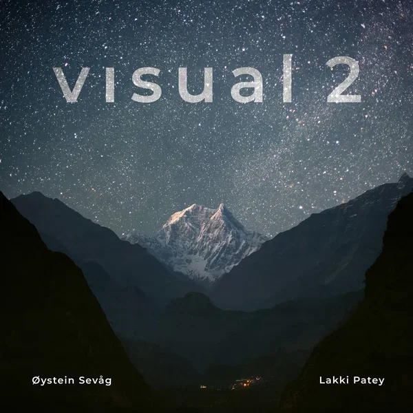 Visual 2