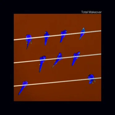 Sarah, You're Anxious by Total Makeover - album cover