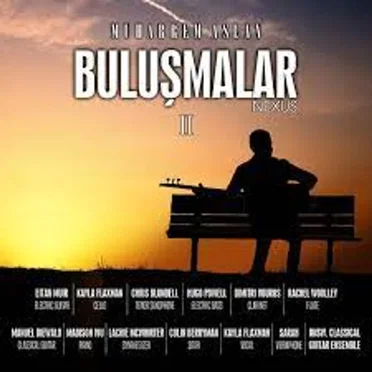 Buluşmalar/Nexus Vol. 2 by Muharrem Aslan - album cover