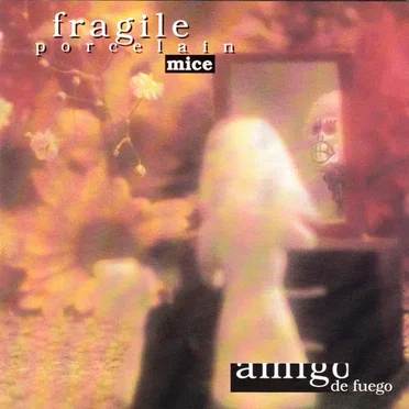 All This Baggage by Fragile Porcelain Mice - album cover