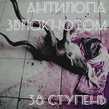 38 ступень by антилопазблокнотом - album cover