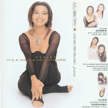 路長情更長 It's a Whole New Feeling by 許景淳 - album cover