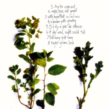 If Night Is a Weed and Day Grows Less
