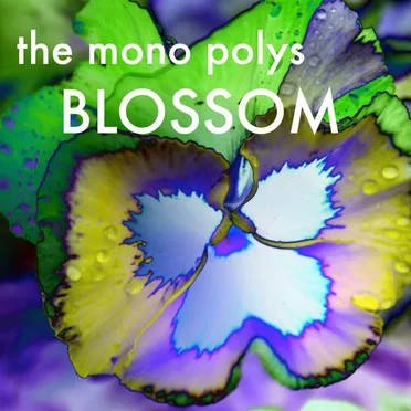 Blossom