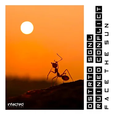 Face the Sun