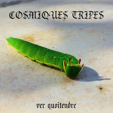 Cosmiques Tripes