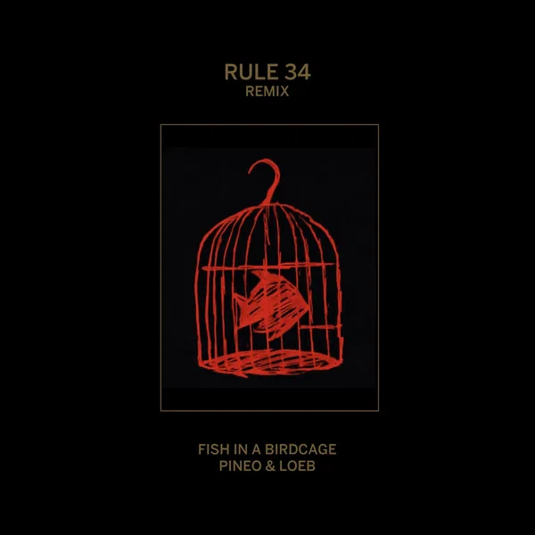 Rule #34 (Remix)