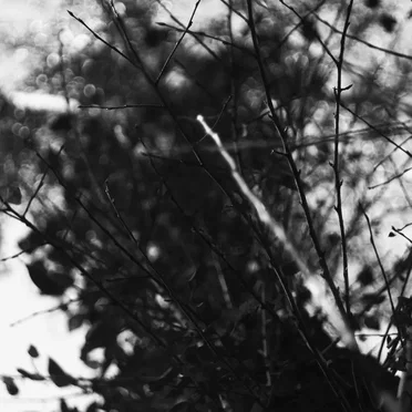 .Письма.ветер.