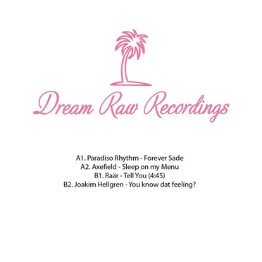 12" V/A DRR006