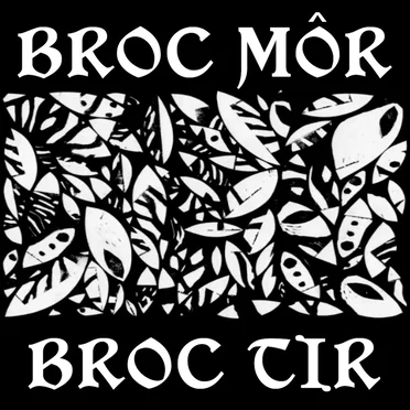Broc Môr/Broc Tir by Richard James - album cover
