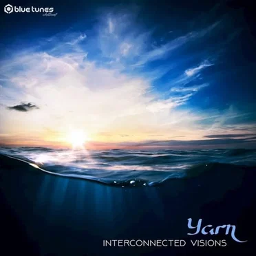 Interconnected Visions
