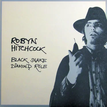 Black Snake Dîamonḑ Röle